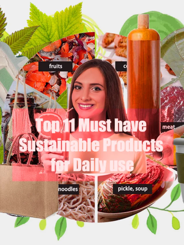 Top 11 Sustainable Products for Daily use